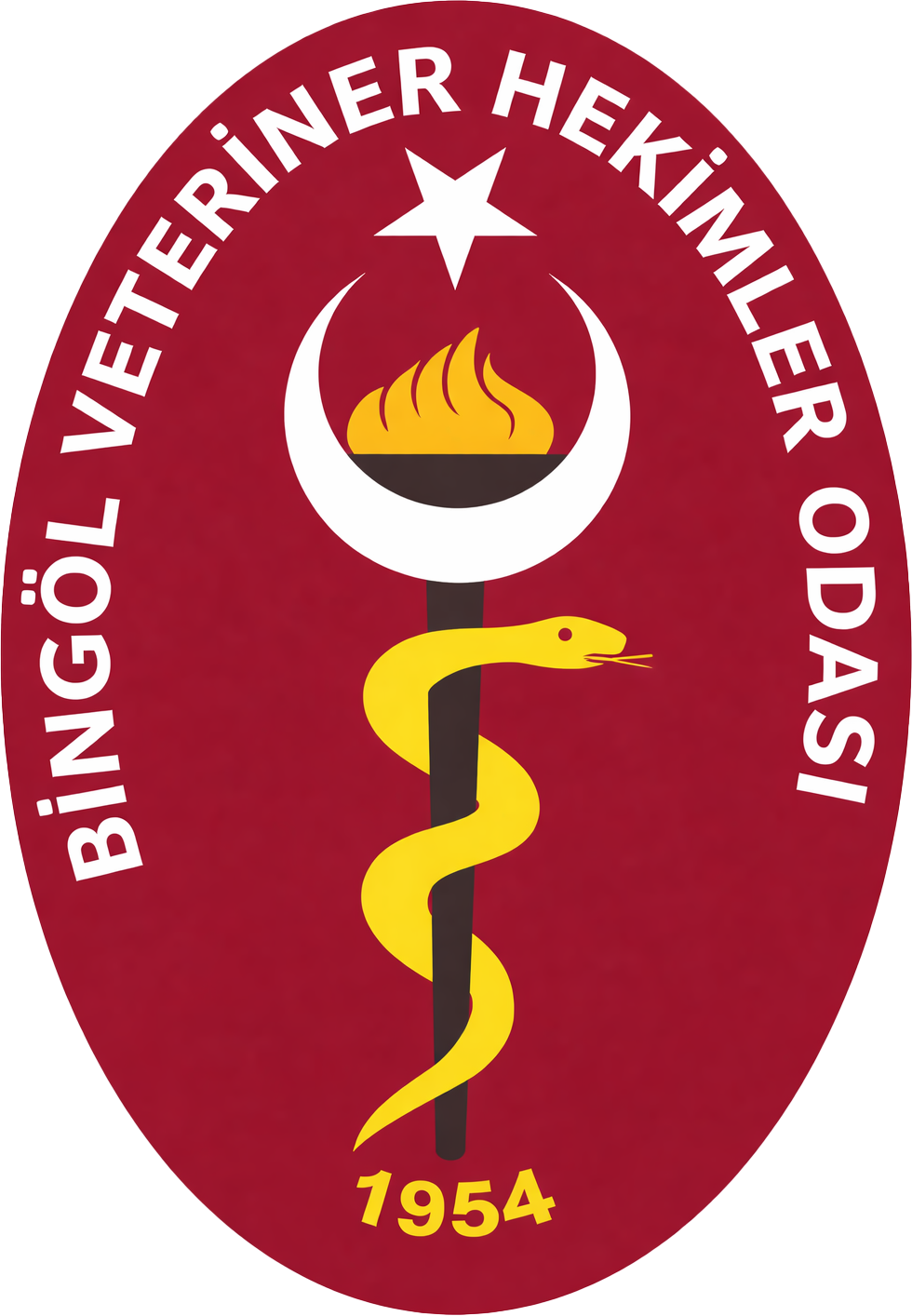 Bingöl VHO Logo